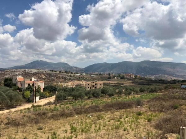 Haboush 4334 - Image 18