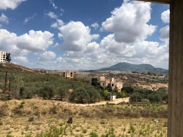 Haboush 4334 - Image 20